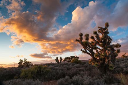 Stargazing tour at Lovell Canyon from Las Vegas
