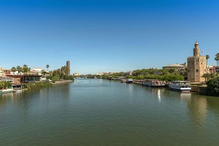 Guadalquivir River City Sightseeing Seville Cruise