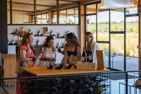 Ribera del Duero full-day wine Tour from Madrid