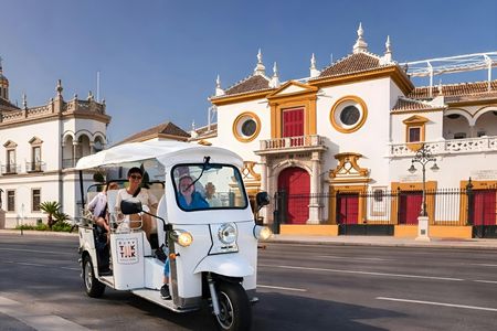 Seville 2-hour grand tour in private tuk tuk with local guide
