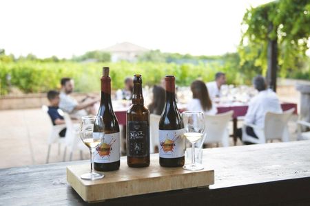 Organic vineyard wine tasting tour in Mijas, Costa del Sol