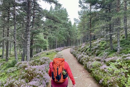 Scottish Highlands full-day guided walking tour