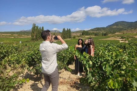 Full-day La Rioja wine tour and visit to Laguardia from Vitoria