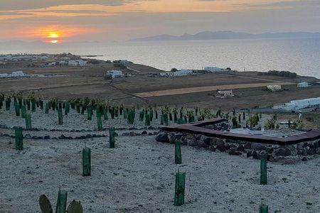 Santorini Private Agro-Educational Visit to an Organic Farm