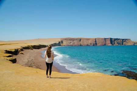 Ballestas Islands and Paracas National Reserve tour