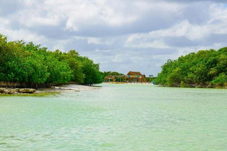 Isla Columpios half-day trip with pick-up from Mérida