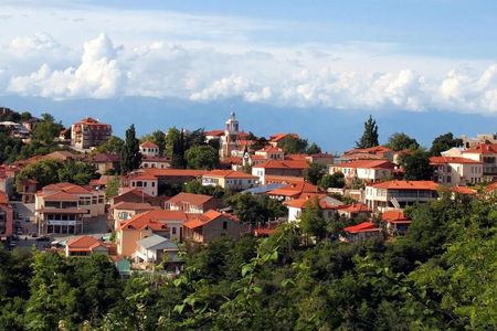 Day tour of Kakheti with wine tasting and bread-baking masterclass