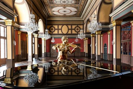 Johann Strauss Museum and Original Hall 1837 entrance ticket