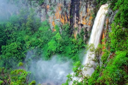 Natural Bridge and Springbrook tour