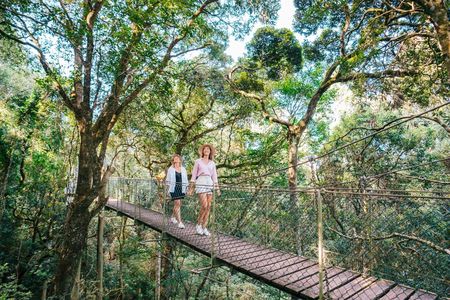 Lamington National Park, O'Reilly's and vineyard tour