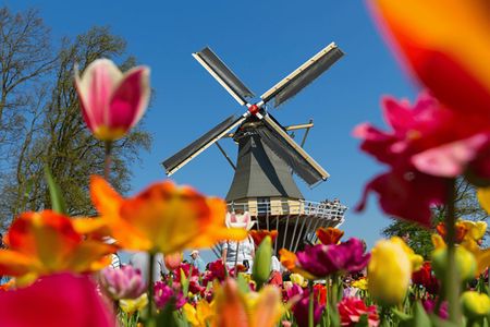 Keukenhof tickets and guided tour with an audio guided transfer