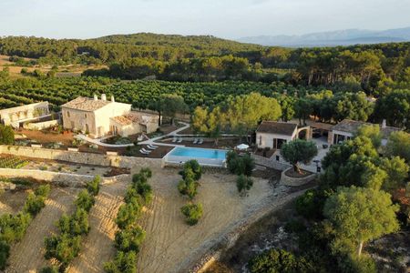Mallorcan olive oil night with gastronomic tasting experience
