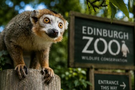 Edinburgh Zoo entrance ticket included eSIM