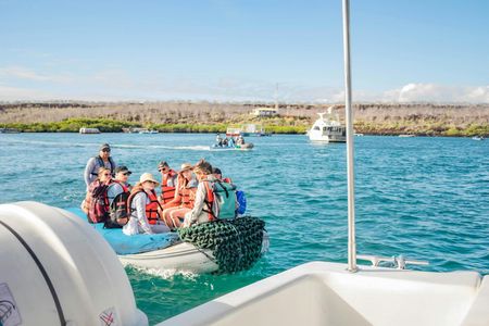 Full-day yacht trip to Santa Fe, Bartolome or Seymour North