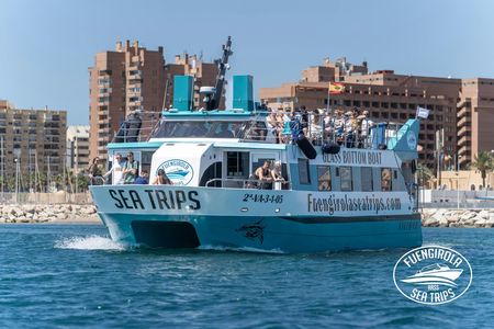 Dolphin watching catamaran cruise along Costa del Sol