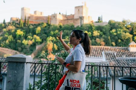 Alhambra, Albaicín and Sacromonte guided tour