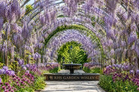 RHS Garden Wisley entry ticket with London audio guide and eSIM