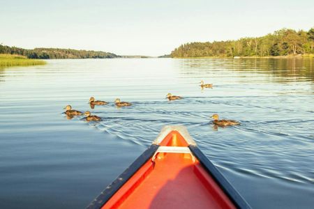 Stockholm sunset canoe beaver tour with dinner by the water