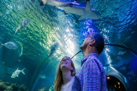SEA LIFE Loch Lomond ticket with 1GB eSIM