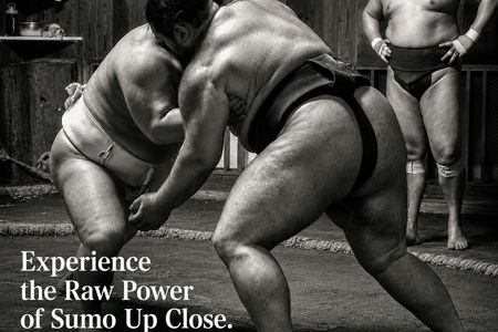 Morning sumo practice viewing with guide in Tokyo