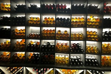 E-bike and wine tour on Lake Geneva