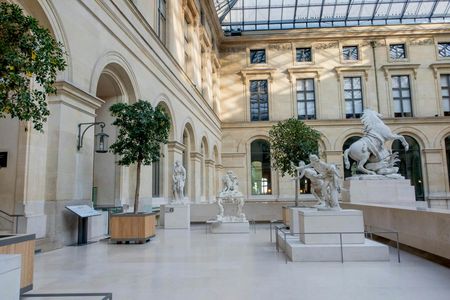 Guided tour of the Louvre Museum with Seine river cruise ticket
