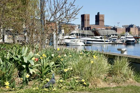 Wellness and fjord life guided walking tour of Oslo