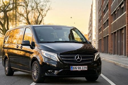 Private Copenhagen layover sightseeing tour from the airport
