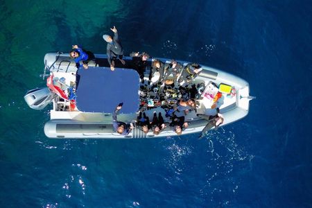 Tavolara protected area snorkeling experience from San Teodoro