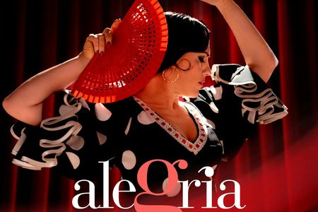 1-hour flamenco show at Malaga's Alegría