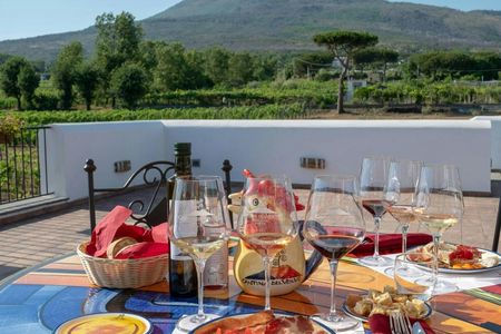 Vesuvius vineyards tour with wine tasting and local lunch