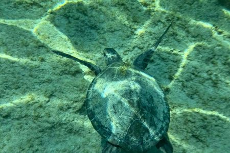Lindos Cave and snorkelling 3-hour private cruise