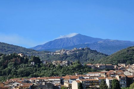 Private Castiglione, Alcantara Gorges and wine tasting tour