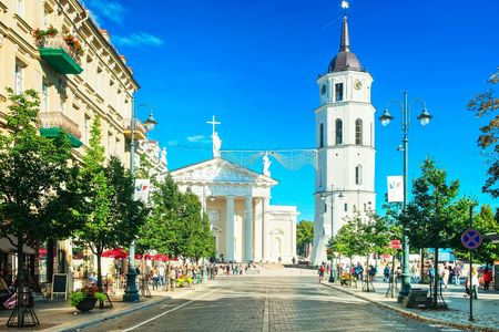 Crypts of Vilnius Cathedral guided tour with eSIM