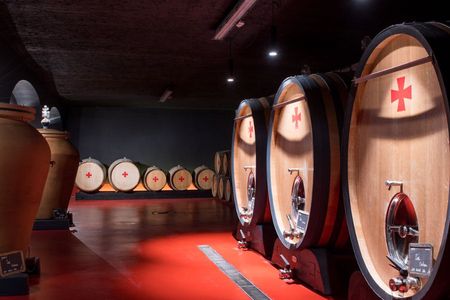 Guided tour of the cellars of Château Peyrassol in English
