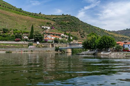 The essence of Douro and a 50-minute river cruise with views