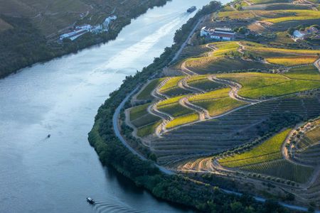 Douro sunset party cruise with DJ and open wine bar