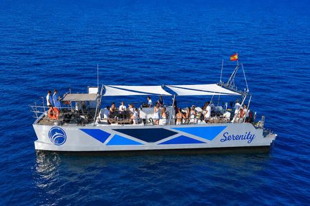 Dolphin watching shared catamaran tour in Benalmádena