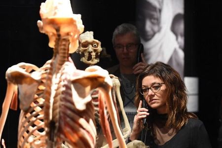 BODY WORLDS & The Cycle of Life exhibition in Kempten