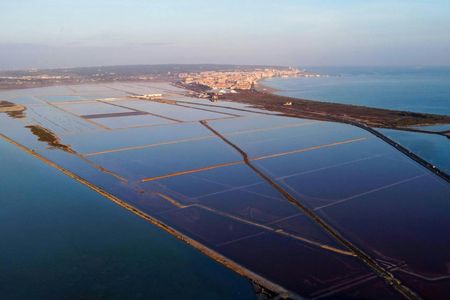 Guided tour of Santa Pola's highlights from Alicante