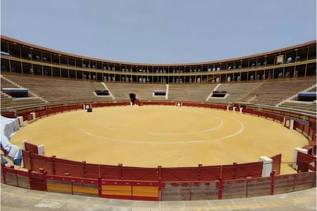 Alicante Bullring and Central Market tour with tastings