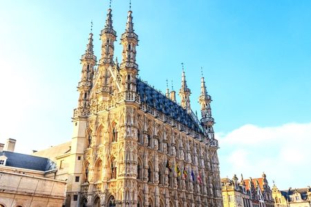 Leuven city highlights walking tour with a local