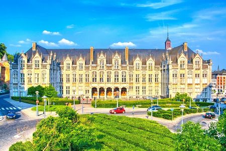 Liège city highlights walking tour with a local