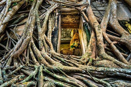 Bangkok Railway Market, Wat Bang Kung and Klong Khon tour