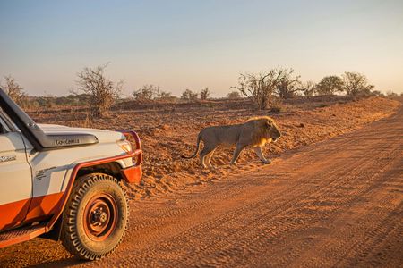 Tsavo East, Taita Hills and Salt Lick three-day safari from Mombasa