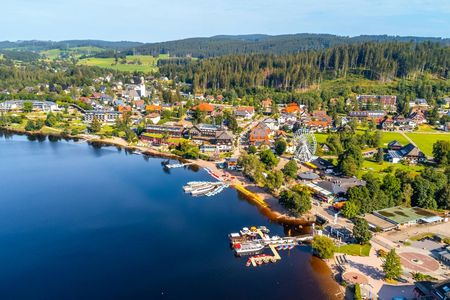 Black Forest day trip from Basel with Lake Titisee and St. Blasien