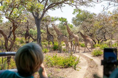 Fathala Wildlife Reserve full-day tour