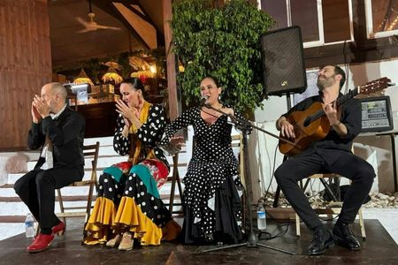 Flamenco dinner-show at a Guadalmina's restaurant