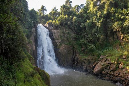 Full-day Khao Yai National Park guided tour from Bangkok