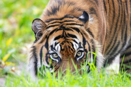 Day ticket for Paignton Zoo on the English Riviera